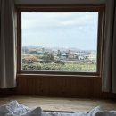 퐁낭에염 이미지