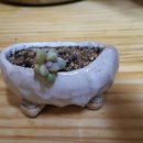 너참;예쁘다