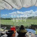 멍츄릅 | 제주도 3박4일 태교여행! 말차 카페 추천 &lt;애월맛차&gt; &amp; &lt;오설록 티뮤지엄&gt; 말차누들바 후기
