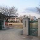 장안초교 앞 이미지