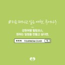 나우플러스투어