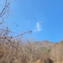 군북면 면사무소 이미지