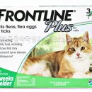 플러스동물약국 이미지