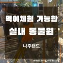 새들유치원 | 나주 랜드 실내 동물원 후기, 아이와 먹이 체험해 보니 생각보다 알찼던 곳