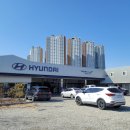 현대자동차 봉황점 이미지