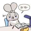 신규 일상 | 부서 배치, 미국 면허증, 마음가짐, 교육 후기