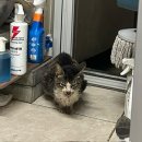 아나파동물병원 이미지