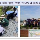 도담도담농장 이미지