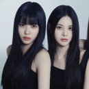 디룩 이미지