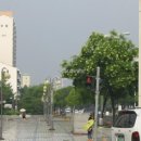 샛별단지_동 이미지