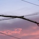 직업상담사 문제풀이 - 직업심리학 이미지