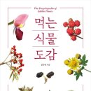 식물도감 네이버블로그