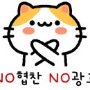 광주강아지분양 블랑펫 네이버블로그