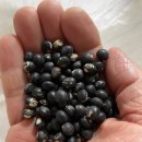 삼방1리 이미지