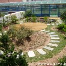 장락초등학교 이미지