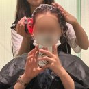 주희(JooHee) | 펠리아 럭스 창원점 - 주희 수석실장 두피관리와 트렌디한 염색💇🏻‍♀️
