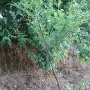 웅포농장 이미지