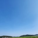 햇살머금고바람한모금 | 강화도 분위기좋은 카페 추천 밀크티 홍차를 고양이보며 마시는 실크로드