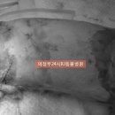 아이유동물메디컬센터 이미지