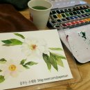 일러스트까페