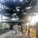 을숙도 리틀야구장 이미지