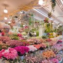 자유도매시장(동구) | 봄맞이 느낌 가득 부산 자유도매시장 범일 꽃시장 방문 후기