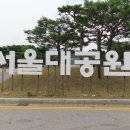 서울대공원 입구 해바라기 등 이미지