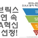 링크