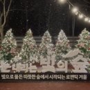 빛의 숲 이미지