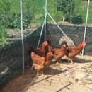 노화고등학교 이미지