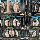 무염농장 | 코스트코 원더풀 무염 피스타치오 칼로리 할인 가격 견과류 추천템 후기