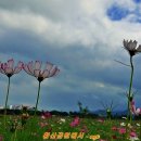 황산공원(황산B) 이미지