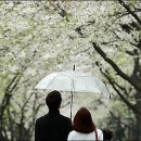 만남커피숍 이미지