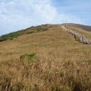 산장세탁소 이미지