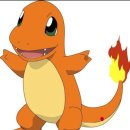 파이리코 이미지