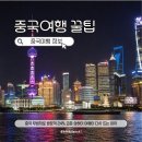 상하이 티스토리