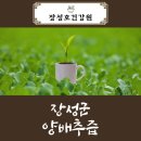 장성건강원 - 서구 양동시장1길 25 | 장성건강원