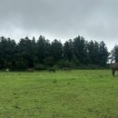 장인목장2 이미지