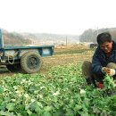 윗자모리 이미지