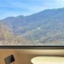 카페 산 | 힐링 숲 뷰, 남한산성 '카페 산' 후기 | 남한산성 대형 카페 추천