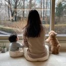 서12-406 이미지