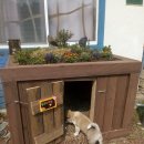 꽃도리집 이미지