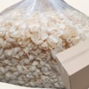 돼지와 건강 이미지