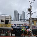 왕 행정사 | 1002.[이민역사교실]이광수 고양이민행정사대표