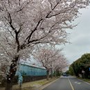 효돈동-6 이미지