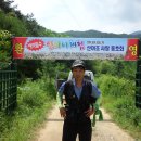산야초와심마니