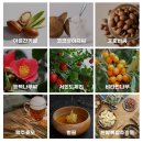 헤어aA(에이에이) | 광주 에이에이앤티(AANT) 해파 AT 헤어 트리트먼트 체험 후기