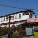 파파엔도터