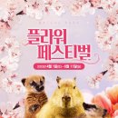 수목플라워