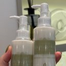 댕댕이의 품격 이미지